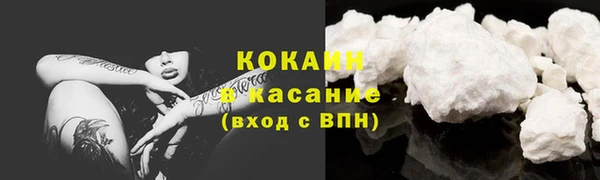 гашик Аркадак