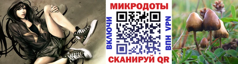 Псилоцибиновые грибы Psilocybine cubensis  блэк спрут ссылки  Приморско-Ахтарск  купить наркотик 